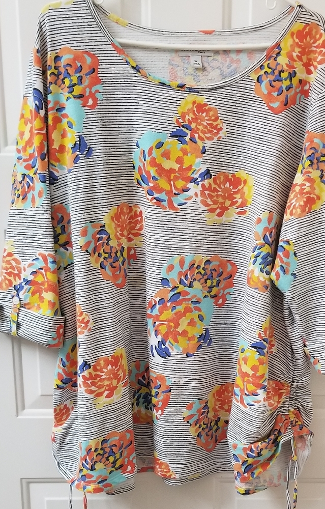 Kim Rogers Curvy 3X top